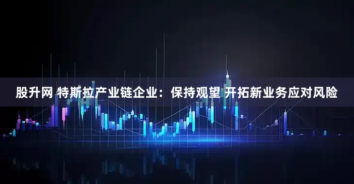 股升网 特斯拉产业链企业：保持观望 开拓新业务应对风险